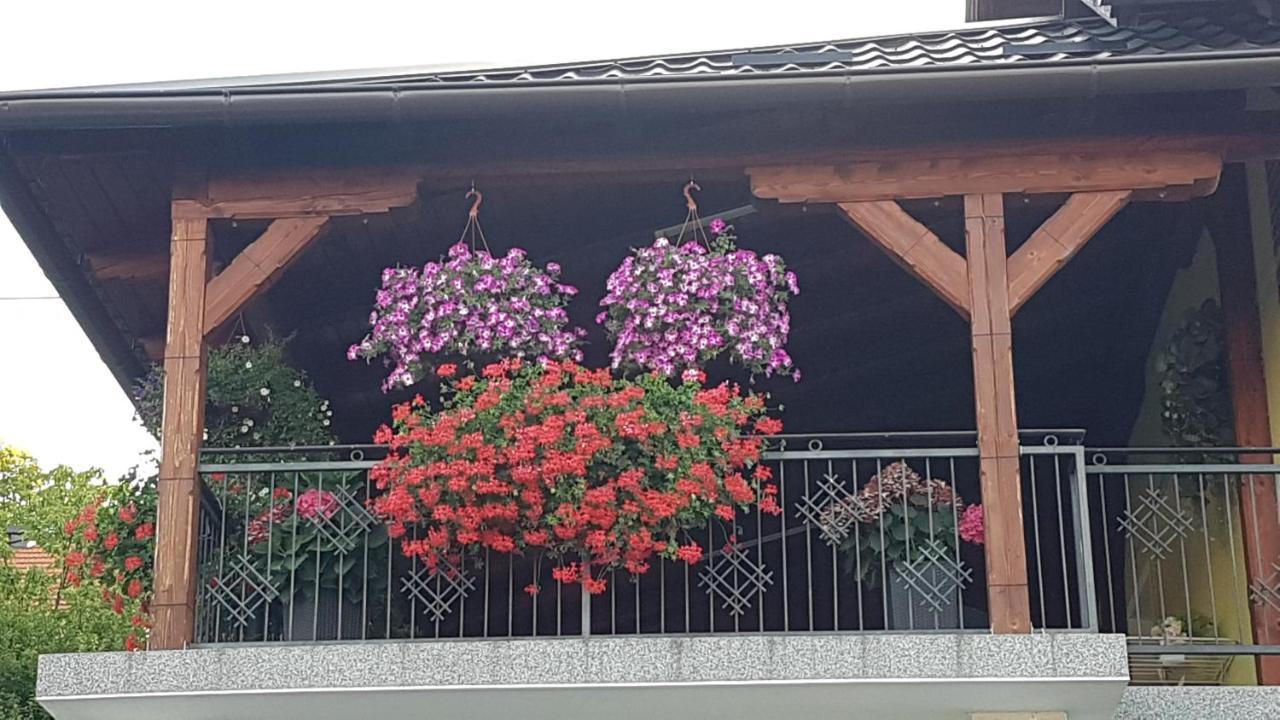 Apartmani Ksenija 크레핀스키타플리스 외부 사진